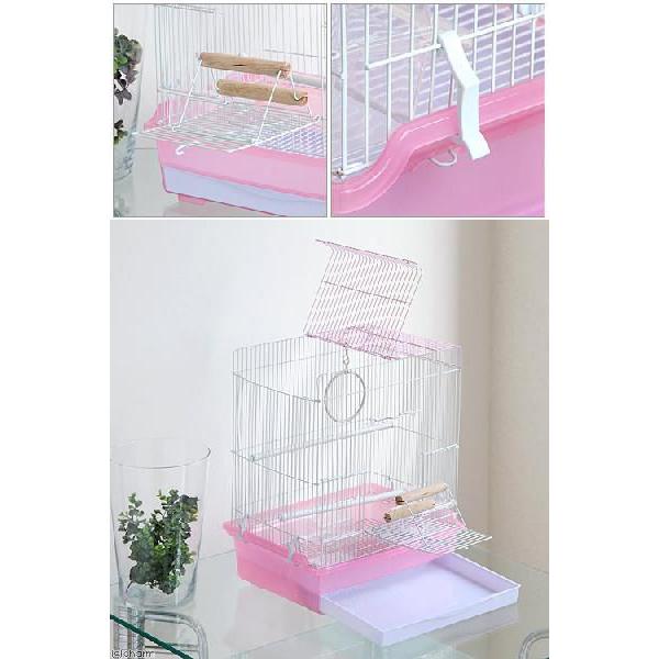 マルカン 鳥籠 バードパレス パーム ピンク （40×30×46cm） 鳥