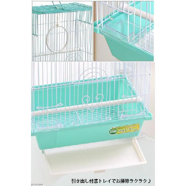 マルカン バードパレス フォレスト (30×23×39cm) 鳥 ゲージ グリーン 鳥 ケージ 鳥かご|チャーム charm |01