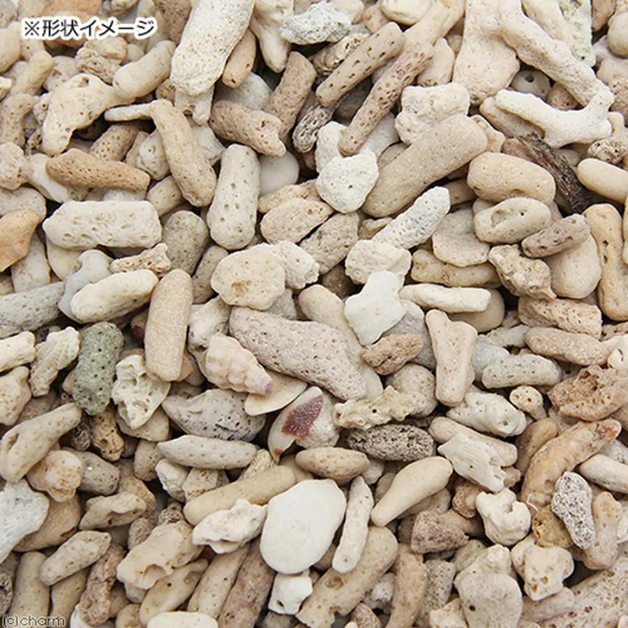 ジュン JUN プラチナリーフサンド No．15 粗目大タイプ 5kg