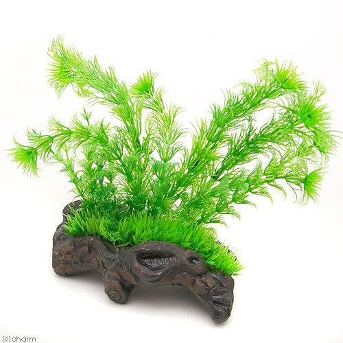 ニッソー ニッソー リトルガーデン 流木2 人工水草 : チャーム charm