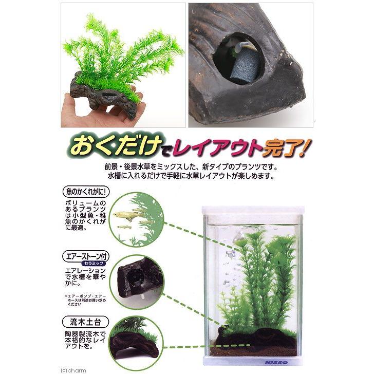ニッソー ニッソー リトルガーデン 流木2 人工水草 : チャーム charm