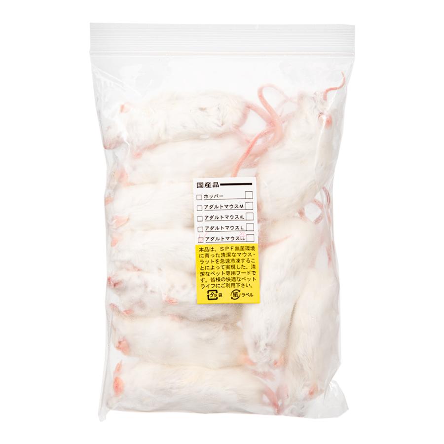 冷凍アダルトマウスLL 50匹 【公式通販】