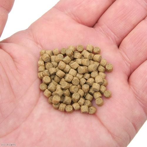 鯉の餌 キョーリン ミニペット 沈下性 小粒 200g 金魚 錦鯉 鯉の餌 キョーリン ミニペット 沈下性 小粒 200g 金魚 錦鯉