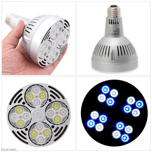 アクアシステム 交換球 ファインスポット LED 35W ブルー アクアシステム 交換球 AXY FINESPOT （アクシー ファイン