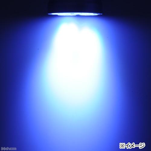 アクアシステム　交換球　ＡＸＹ　ＦＩＮＥＳＰＯＴ　（アクシー　ファインスポット）　ＬＥＤ　３５Ｗ　ブルーホワイト　水槽用照明