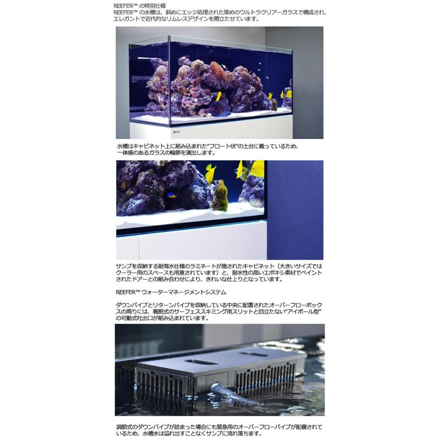 レッドシー オーバーフロー水槽 レッドシー REEFER レッドシー オーバーフロー水槽 レッドシー REEFER