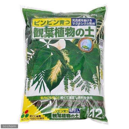 豪華な 花ごころ 観葉植物の土 １２ｌ お一人様６点限り 開店