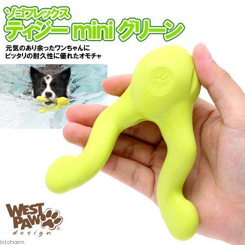 ゾゴフレックス 犬 おもちゃ ゾゴフレックス ティジー Mini