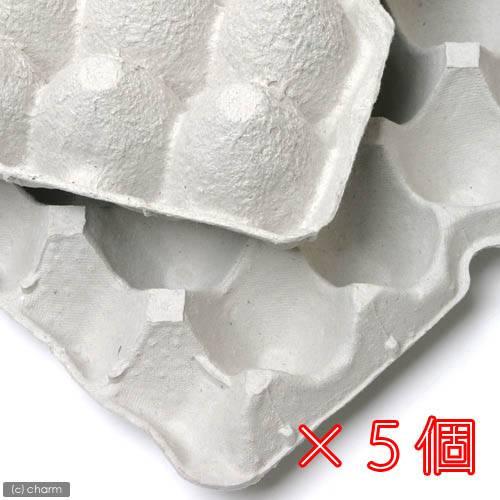 紙製卵トレー ４５ ２９ｃｍ ５枚セット 昆虫 コオロギ 飼育 ハウス ケース お