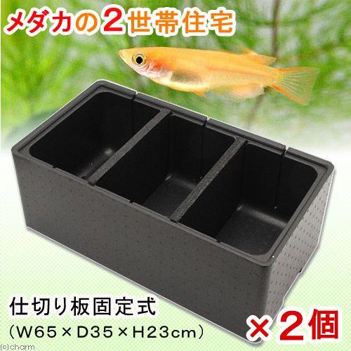 決まりました）メダカ19800円【メダカ、ラック、水槽、柵】（補足