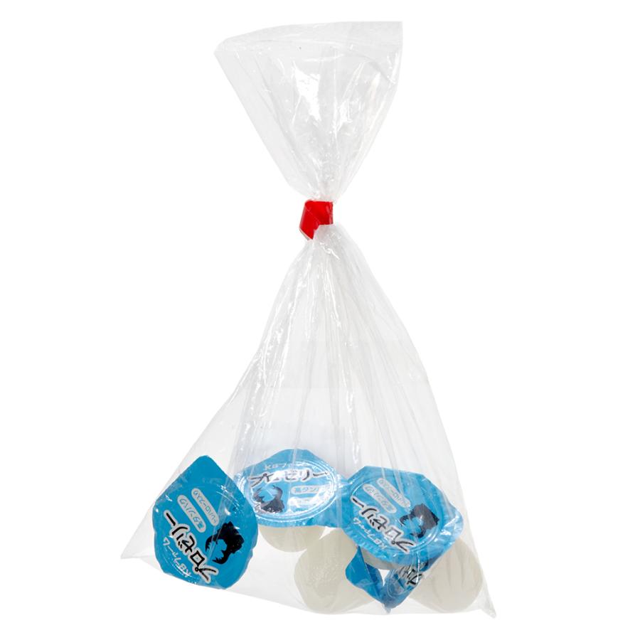 昆虫ゼリー お試しプロゼリー（16g 5個入り） カブトムシ