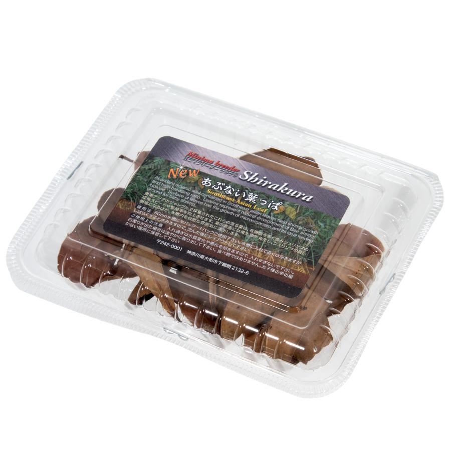 鞍葉ページ シラクラ NEWあぶない葉っぱ 1パック（4g） マジックリーフ