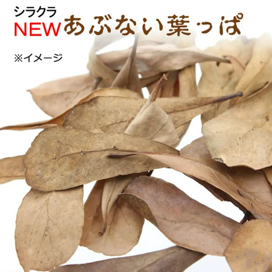 シラクラ NEWあぶない葉っぱ 1パック（4g） マジックリーフ