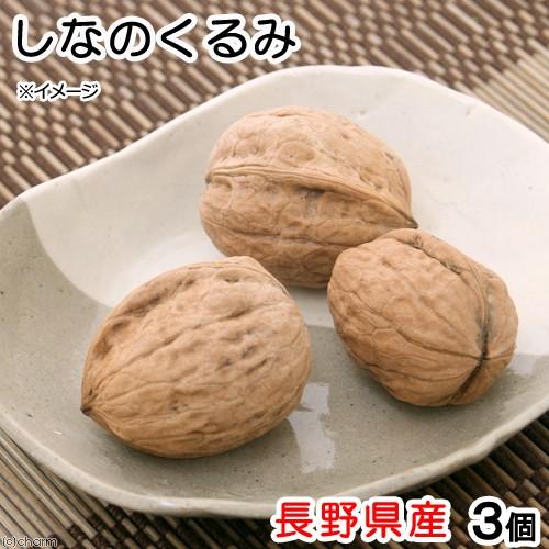 Leaf Corp 長野県産 殻付き しなのくるみ 3個 USAYAMA 小動物