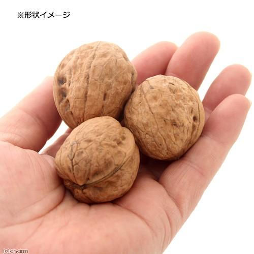 Leaf Corp 長野県産 殻付き しなのくるみ 3個 USAYAMA 小動物