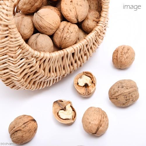 姫ぐるみ長野県産天然１０kg 姫ぐるみ長野県産天然10kg 【公式通販】