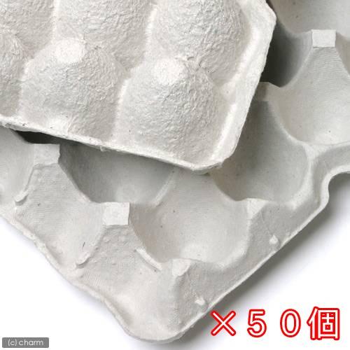 紙製卵トレー ４５ ２９ｃｍ ５０枚セット 昆虫 コオロギ 飼育 ハウス ケース お