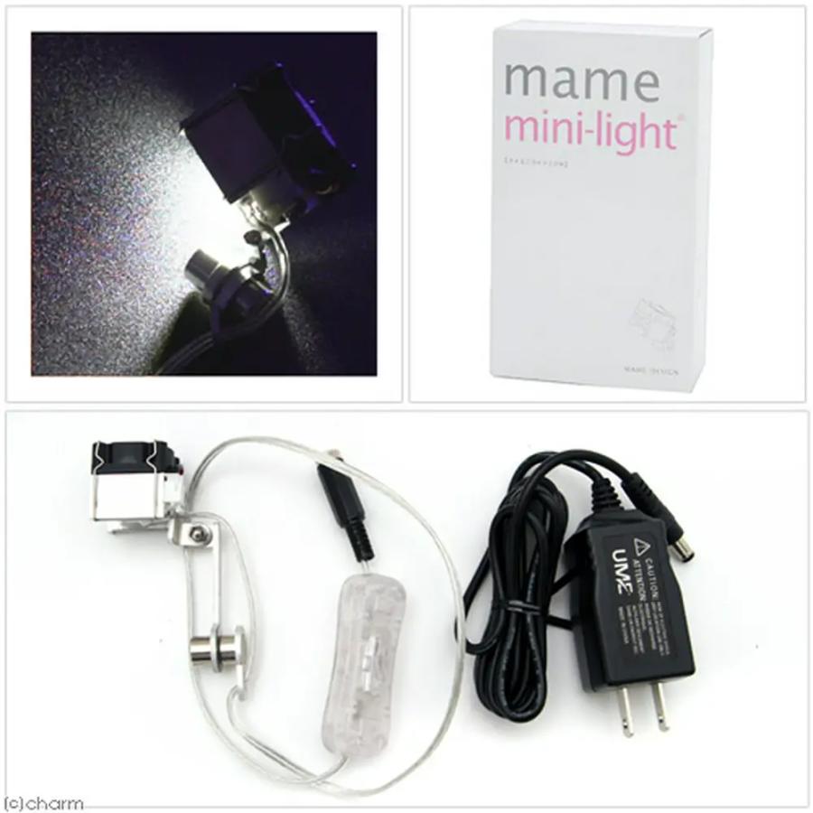 マメデザイン マメミニライト 10W WH（ホワイト）（mame