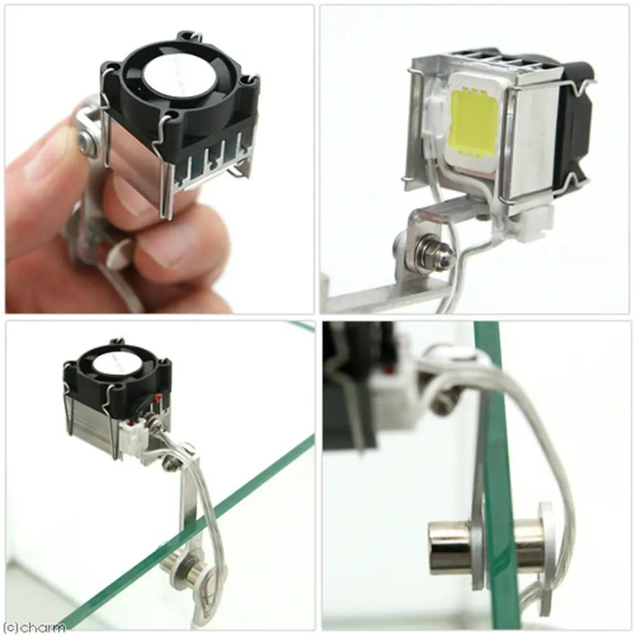 マメデザイン マメミニライト 10W WH（ホワイト）（mame