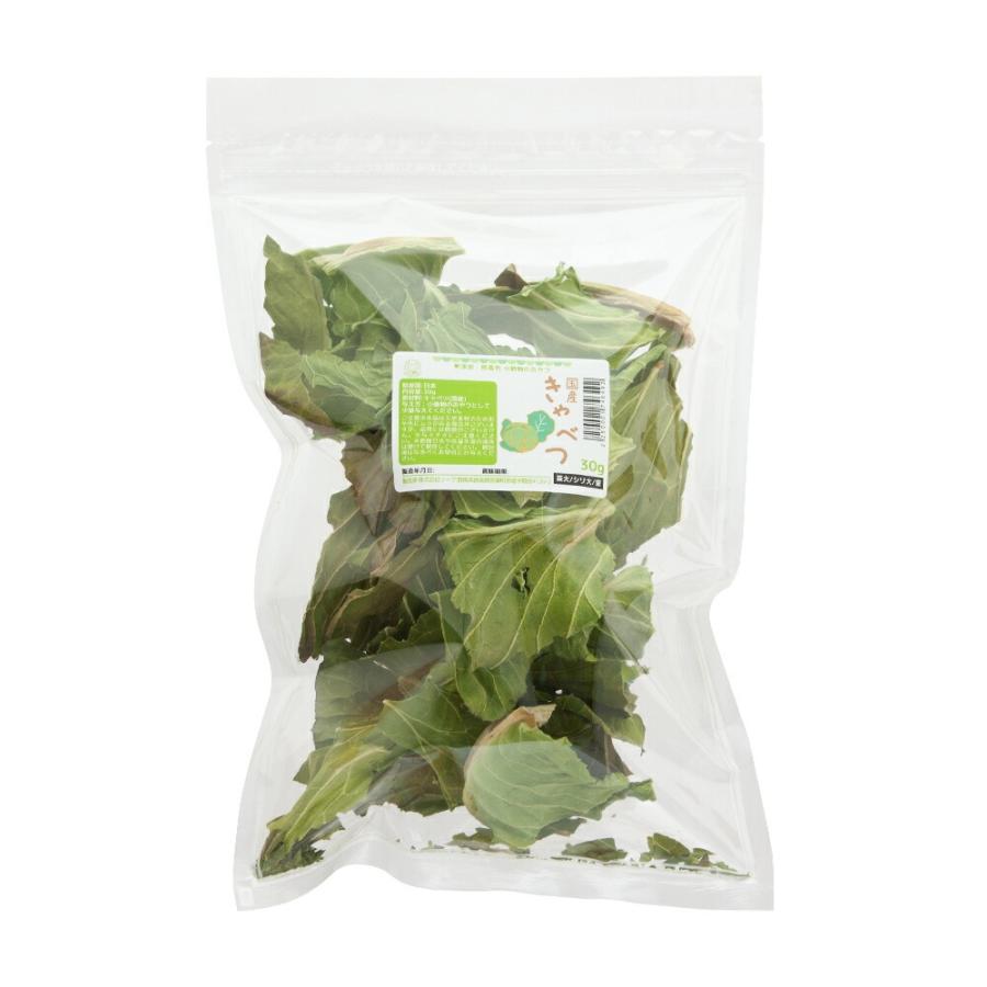 Leaf Corp 国産 キャベツ 30g 小動物のおやつ うさぎ ハムスター