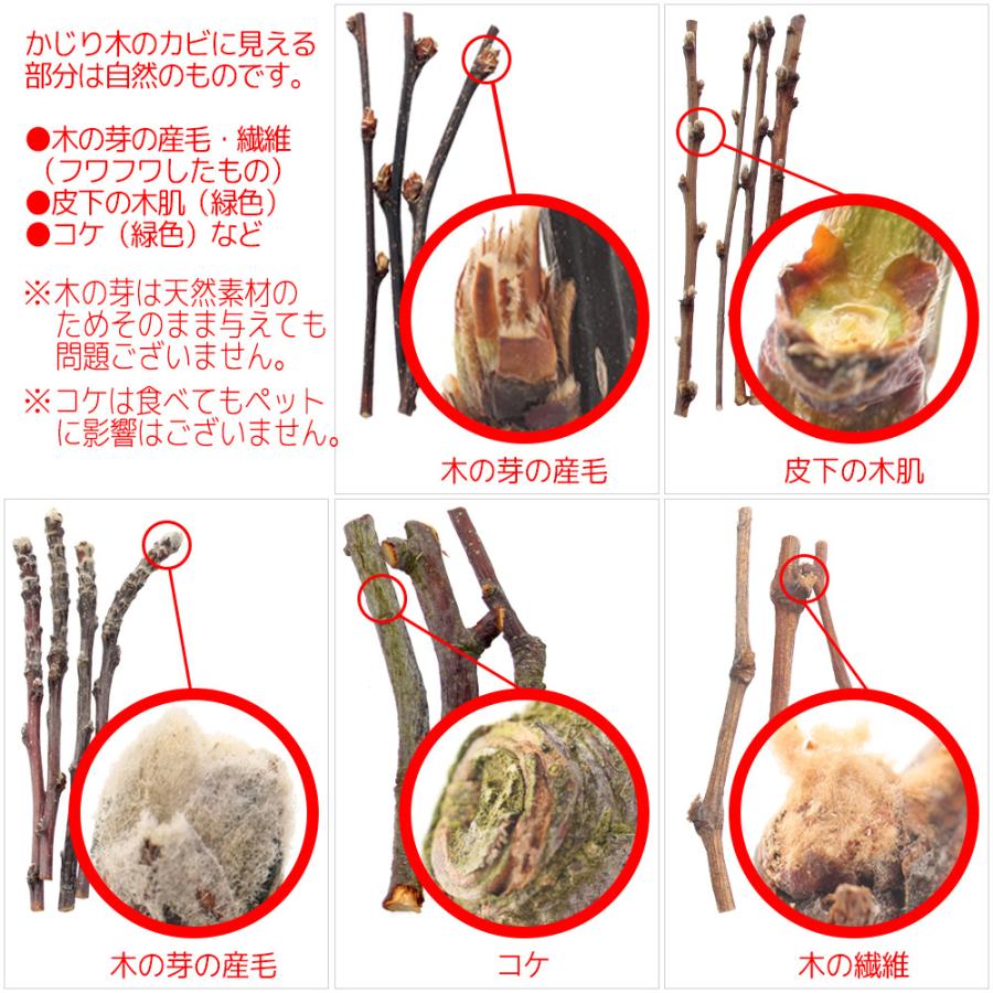 Leaf Corp かじり木 国産 りんごの木 細枝 500g お徳用パック