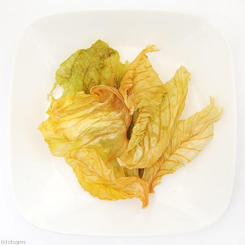 国産 キャベツ １５ｇ 犬用おやつ ｐａｃｋｕｎｘｃｏｃｏａ フルーツ ベジ 蒸し野菜チップス チャーム Charm Paypayモール店 通販 Paypayモール