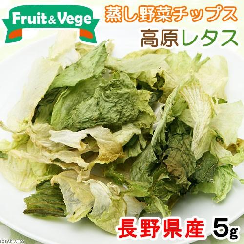 犬　おやつ　野菜　長野県産　高原レタス　５ｇ　国産　フルーツ＆ベジ　蒸し野菜チップス　食物繊維　ドッグフード　トッピング｜chanet