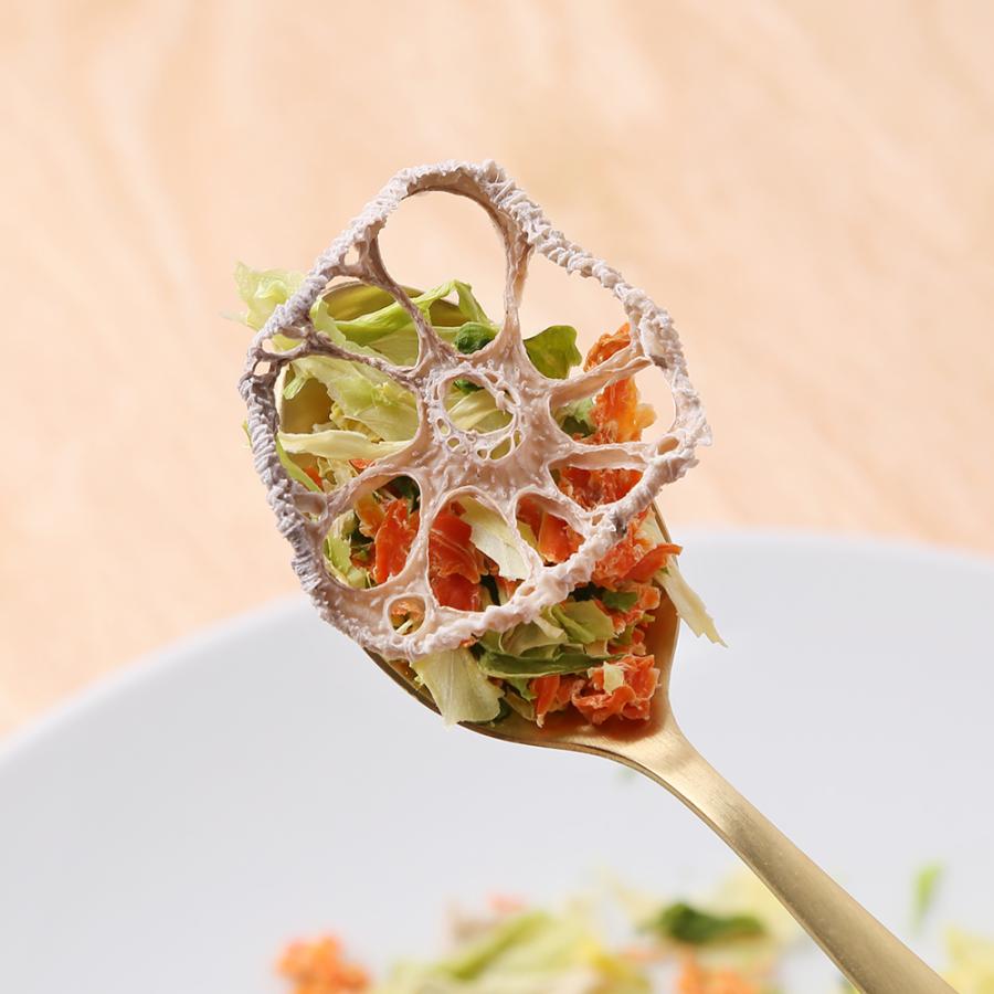 Leaf Corp 犬 おやつ 野菜 国産野菜のミックスサラダ 3種 45g