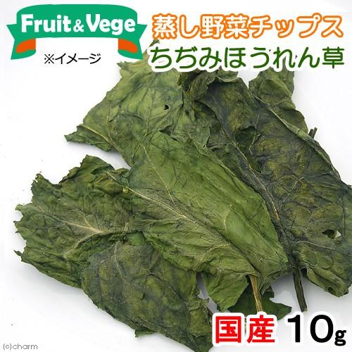 国産 ちぢみほうれん草 １０ｇ 犬用おやつ ｐａｃｋｕｎｘｃｏｃｏａ フルーツ ベジ 蒸し野菜チップス チャーム Charm ヤフー店 通販 Yahoo ショッピング