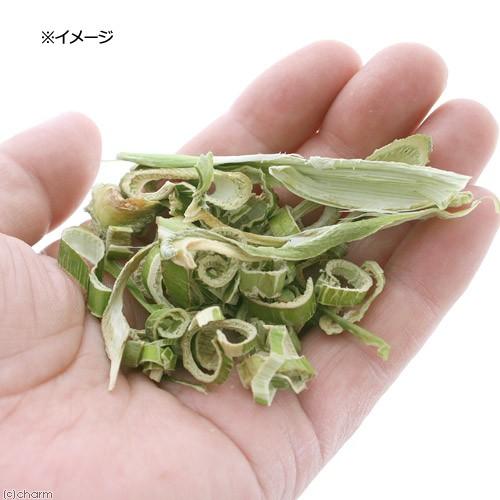 Leaf Corp 国産 パパイヤの葉の茎チップス 100g 小動物のおやつ