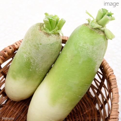 長野県産 あま いビタミン大根 しなだいこん ３０ｇ 国産 無添加 無着色 チャーム Charm ヤフー店 通販 Yahoo ショッピング