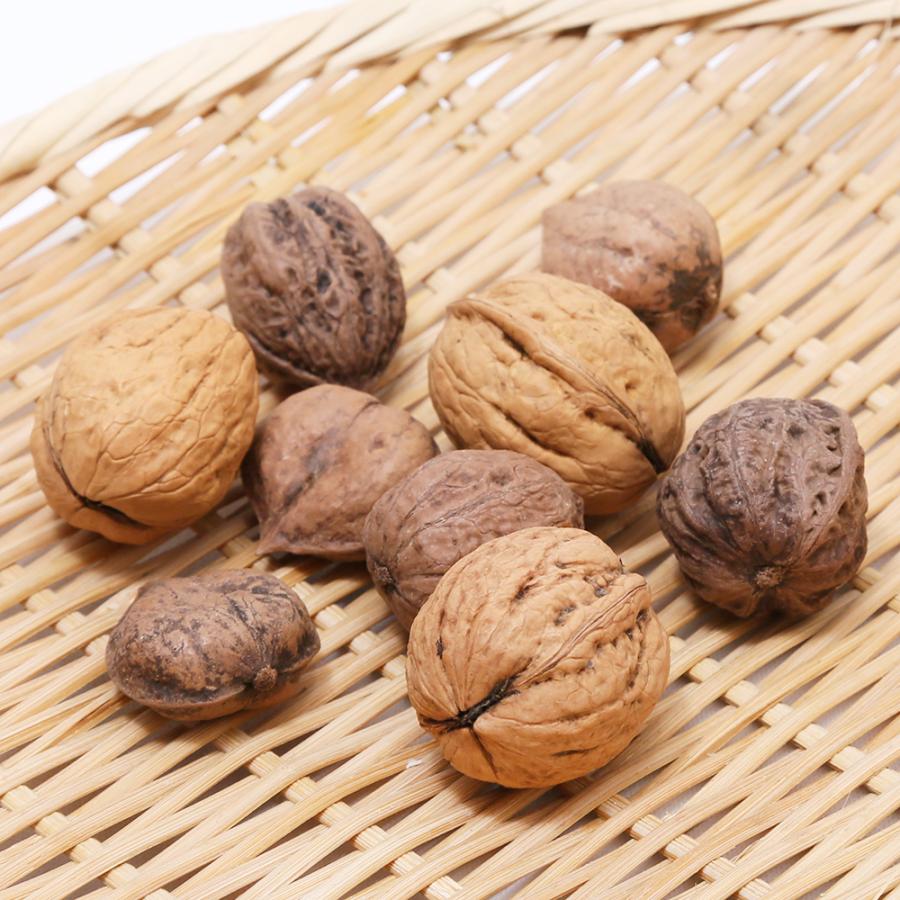 138円 再再販 国産 殻付き くるみミックス ９個 ナッツ 小動物のおやつ 小鳥 ハムスター 無添加 無着色