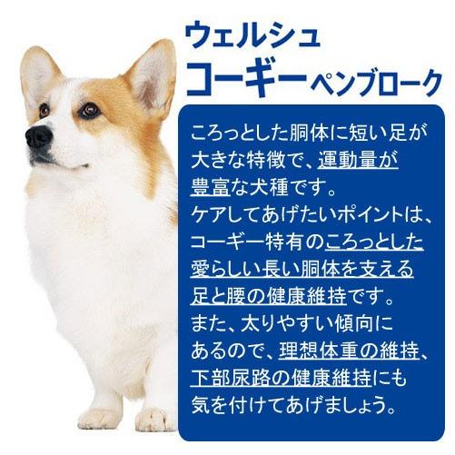 ドッグフード　プロマネージ　ウェルシュ・コーギー・ペンブローグ専用　成犬用　４ｋｇ｜chanet｜02