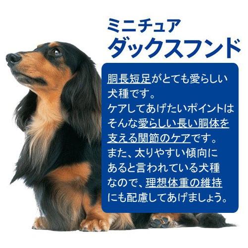 ドッグフード　プロマネージ　７歳からのミニチュアダックスフンド専用　シニア犬用　４ｋｇ　高齢犬用 | プロマネージ | 01