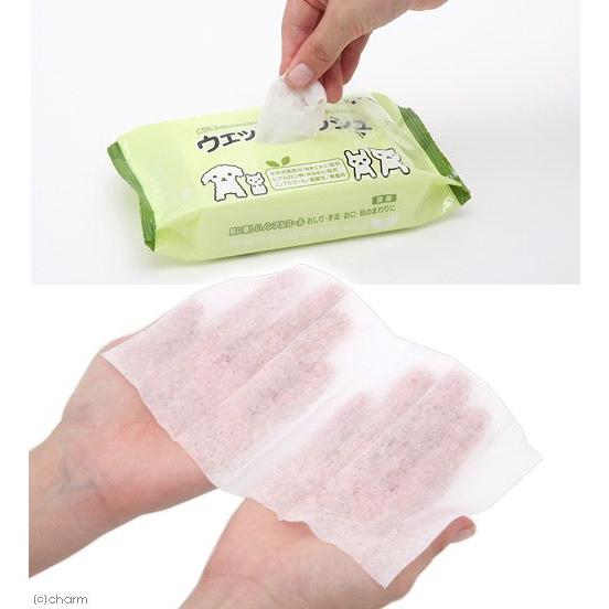 肌に優しいヒアルロン酸配合　ノンアルコール　チャームオリジナル　ウェットティッシュ　ウェット８０枚　お一人様１９点限り | チャーム（ペット） | 01