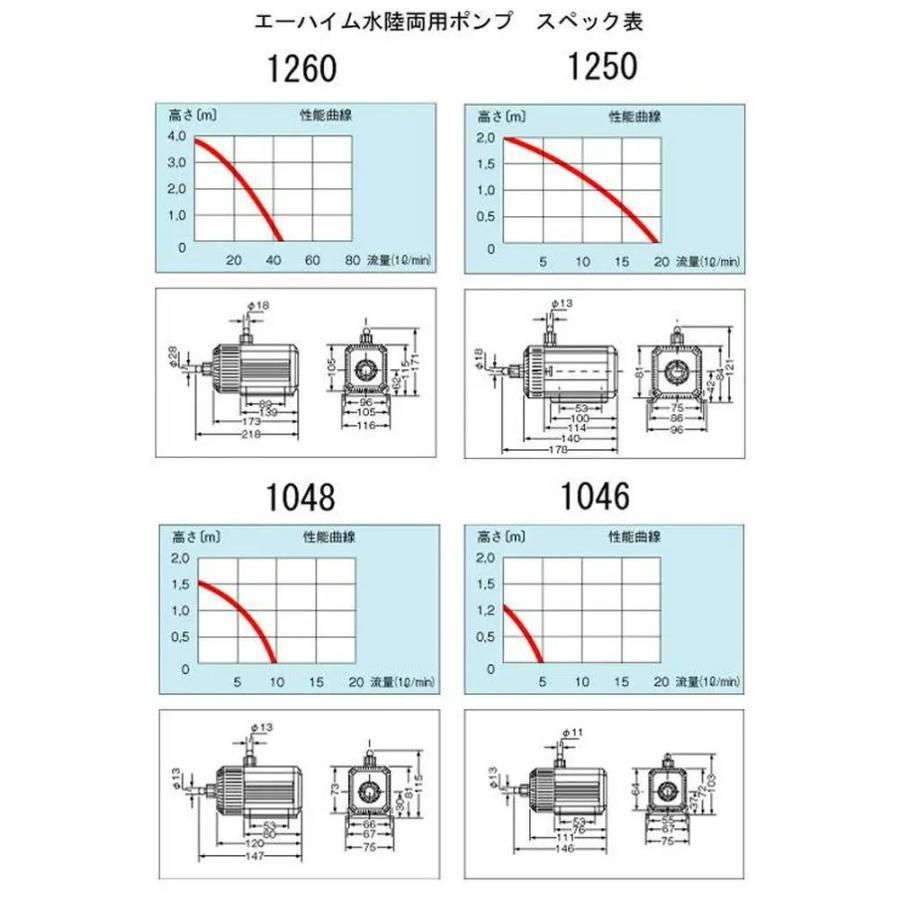 チャーム(ペット) 50Hz ゼンスイ ZR−mini チャーム チャーム(ペット) 50Hz ゼンスイ ZR−mini チャーム