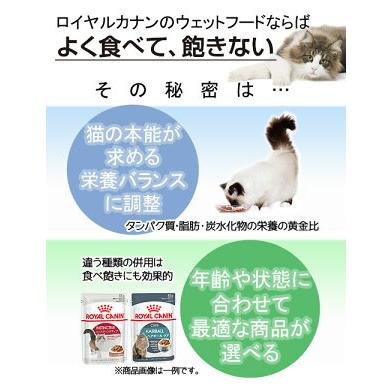 ロイヤルカナン　猫　ステアライズド　成猫用　８５ｇ　１ボール１２袋　９００３５７９３１１３０１　お一人様５点限り｜chanet｜04