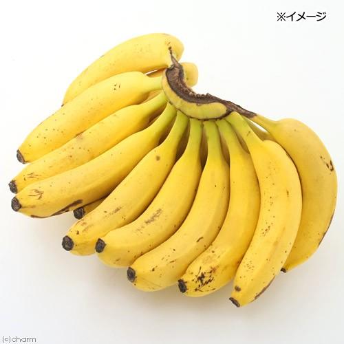 Leaf Corp USAYAMA 完熟バナナ 40g 国産 小動物のおやつ