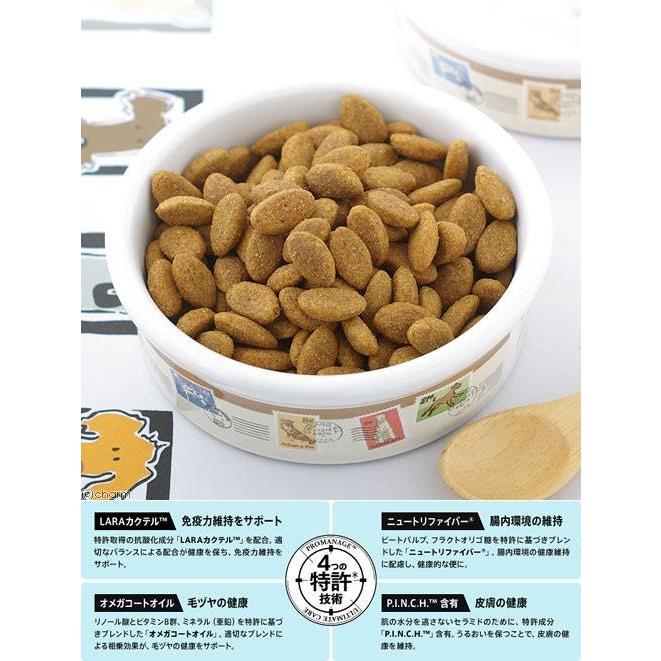 ドッグフード　プロマネージ　コーギー専用　成犬用　４ｋｇ×３袋　お一人様１点限り | プロマネージ | 01