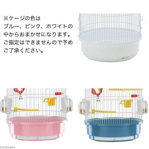 カナリア・インコ用ケージセット レジーナ スタンドセット 色おまかせ(直径約32.5×高さ45.5cm) 沖縄別途送料|チャーム charm |01