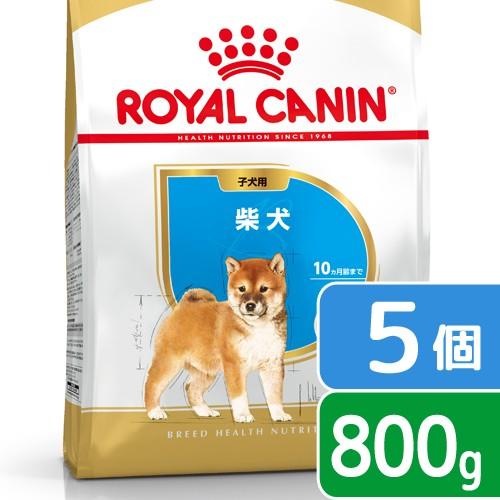 ロイヤルカナン　柴犬　子犬用　８００ｇ×５袋　３１８２５５０８２３９３７　ジップ付　お一人様２点限り