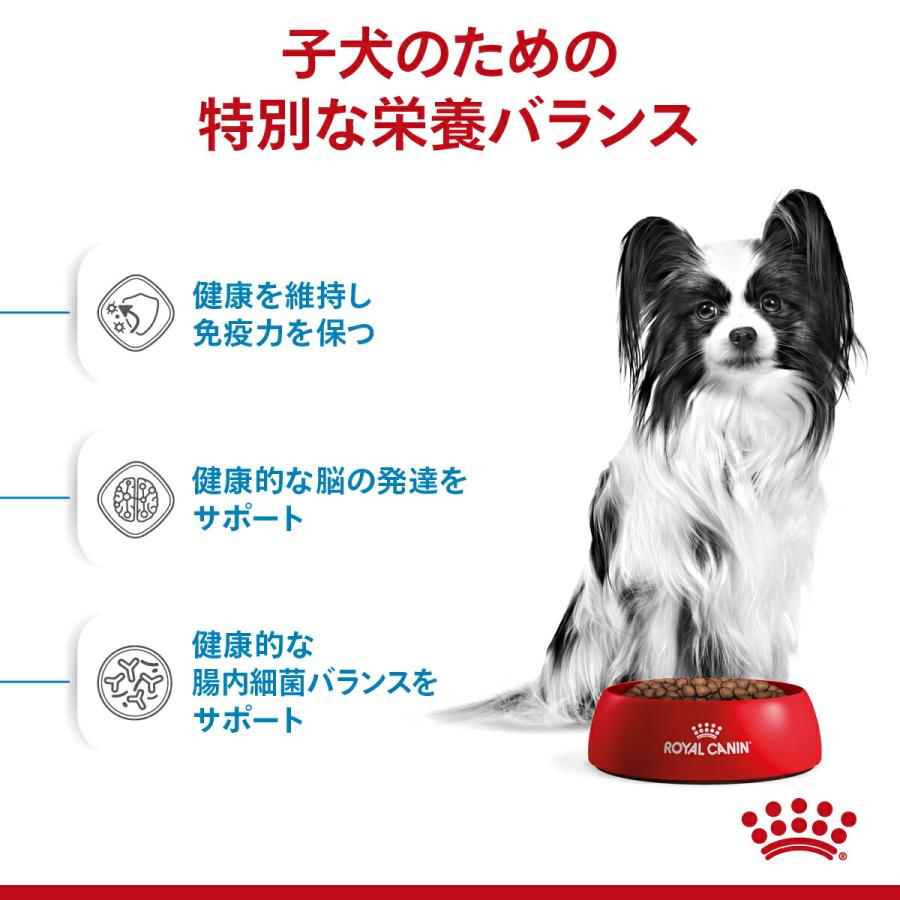 ロイヤルカナン　エクストラスモール　パピー　子犬用　８００ｇ×５袋　３１８２５５０７９４４５９　ジップ付　お一人様２点限り｜chanet｜03