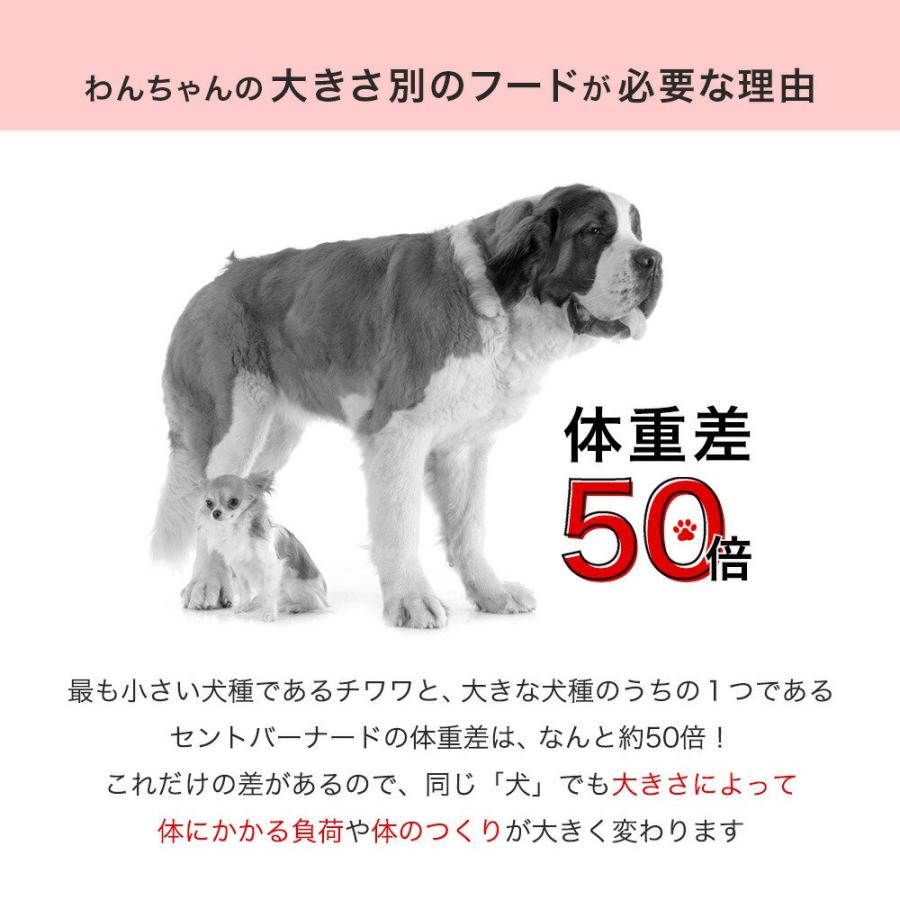 ロイヤルカナン（ROYAL CANIN） エクストラスモール アダルト 3kg