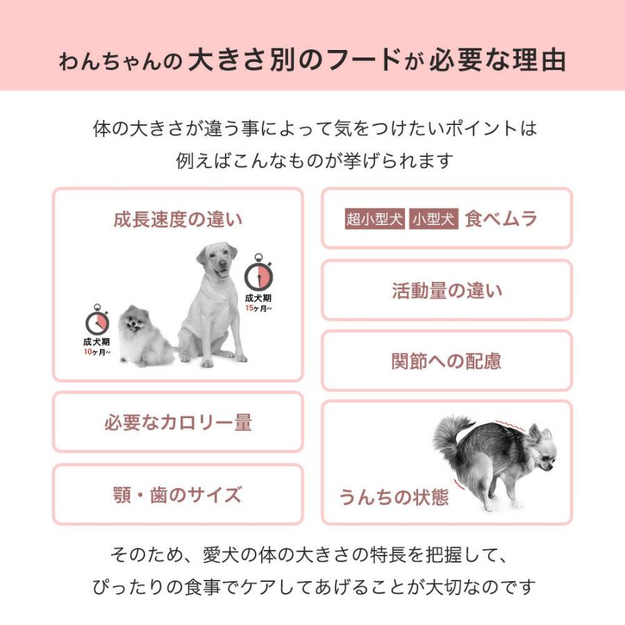 ロイヤルカナン（ROYAL CANIN） エクストラスモール アダルト 3kg