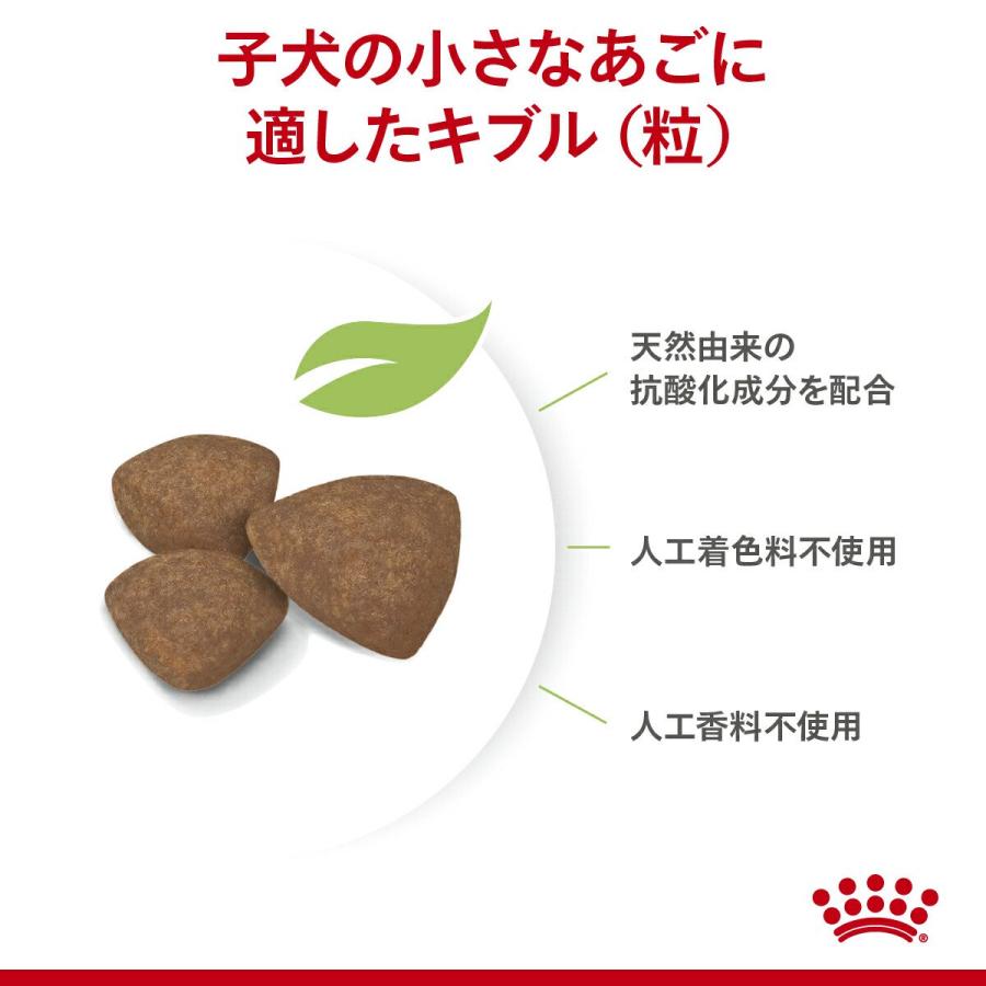 ロイヤルカナン　ミニ　パピー　子犬用　２ｋｇ×５袋　３１８２５５０７９３００１　ジップ付　お一人様１点限り | ロイヤルカナン | 04