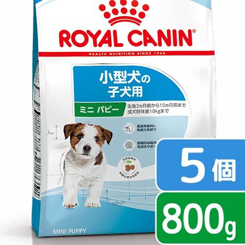 ロイヤルカナン　ミニ　パピー　子犬用　８００ｇ×５袋　３１８２５５０７９２９２９　ジップ付　お一人様２点限り | ロイヤルカナン