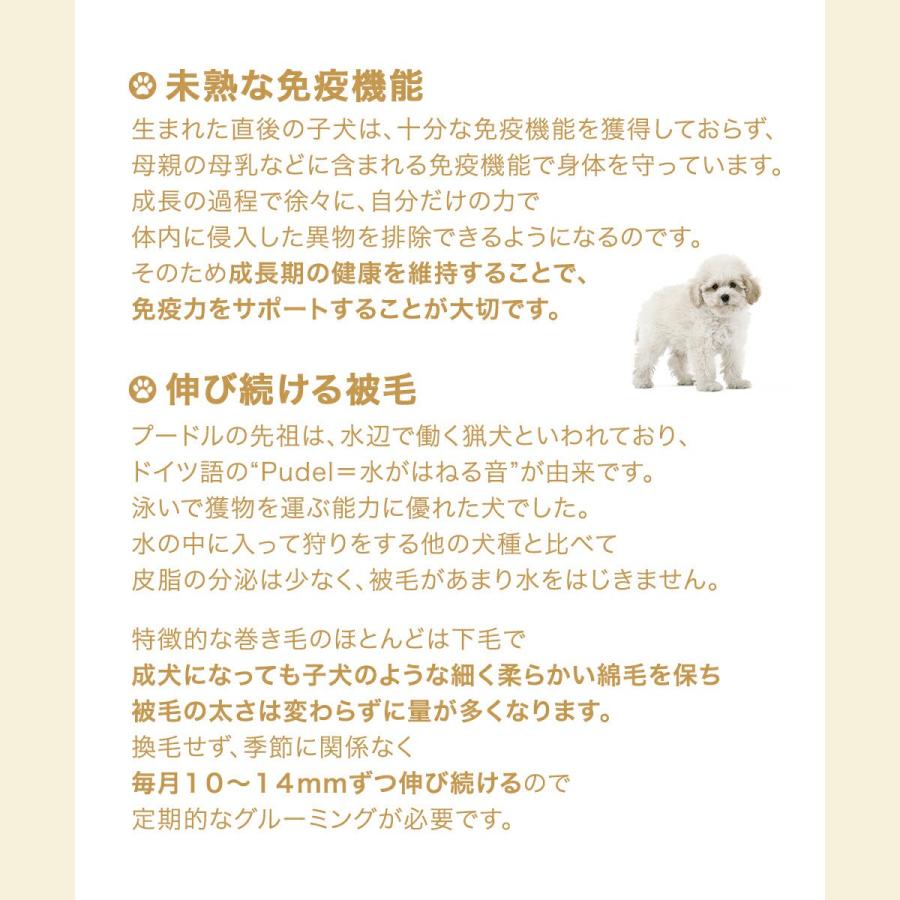 ロイヤルカナン　プードル　子犬用　８００ｇ×５袋　３１８２５５０７８８１３７　ジップ付　お一人様２点限り_3