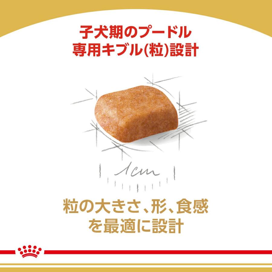 ロイヤルカナン　プードル　子犬用　８００ｇ×５袋　３１８２５５０７８８１３７　ジップ付　お一人様２点限り_5