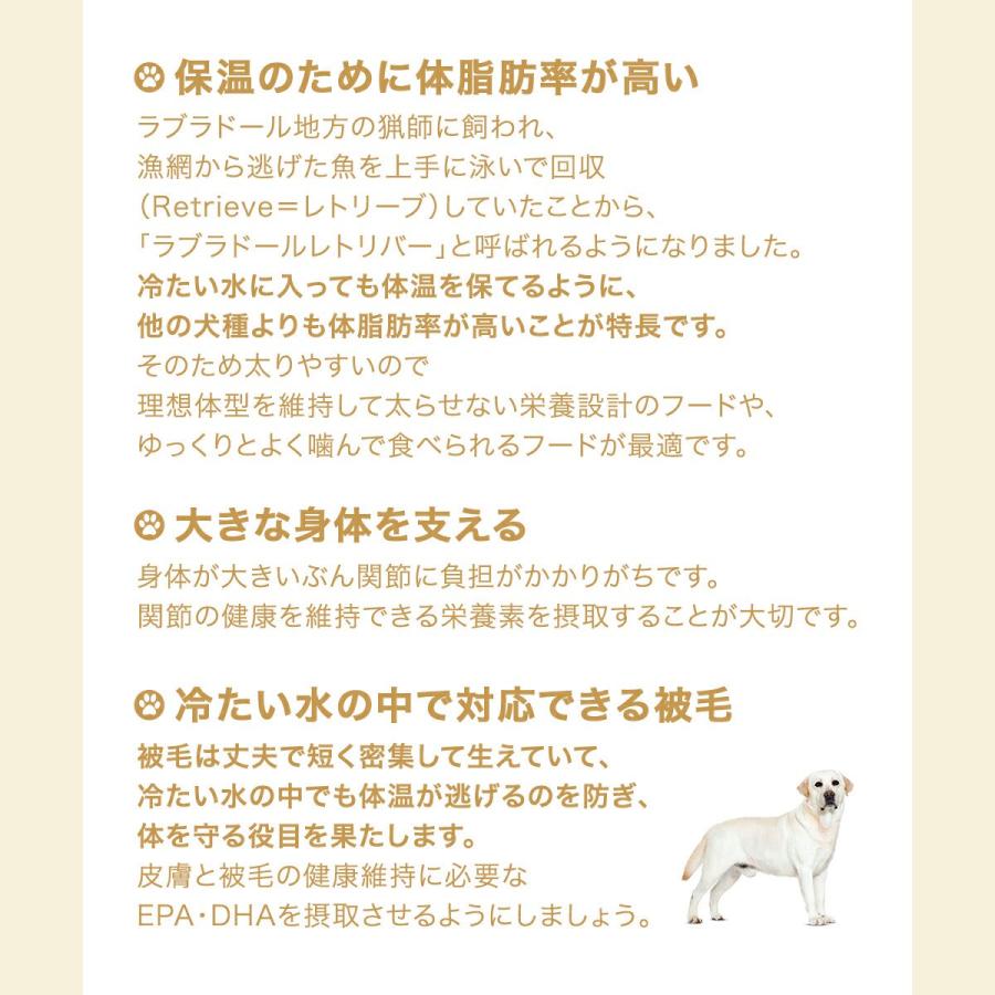 ロイヤルカナン（ROYAL CANIN） ラブラドールレトリバー