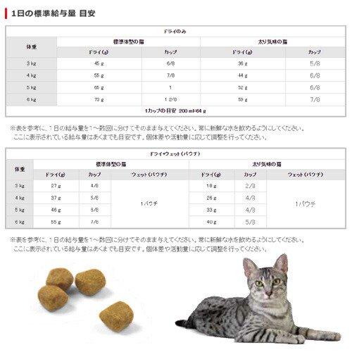 ロイヤルカナン　猫　インドア　７＋　１．５ｋｇ×５袋　３１８２５５０７８４３９９　ジップ付　お一人様１点限り | ロイヤルカナン | 03
